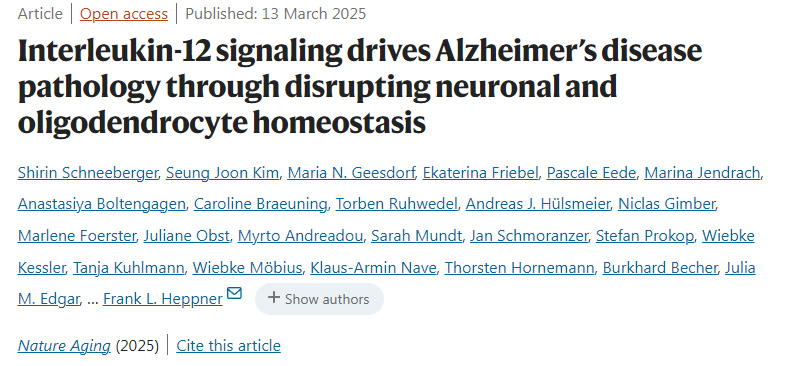 白細胞介素-12信號通路通過破壞神經(jīng)元與少突膠質(zhì)細胞穩(wěn)態(tài)驅(qū)動阿爾茨海默病病理進程
