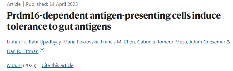 Prdm16依賴性抗原呈遞細胞誘導對腸道抗原的耐受