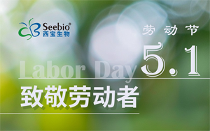 五一勞動節放假通知|致敬不凡 禮贊平凡