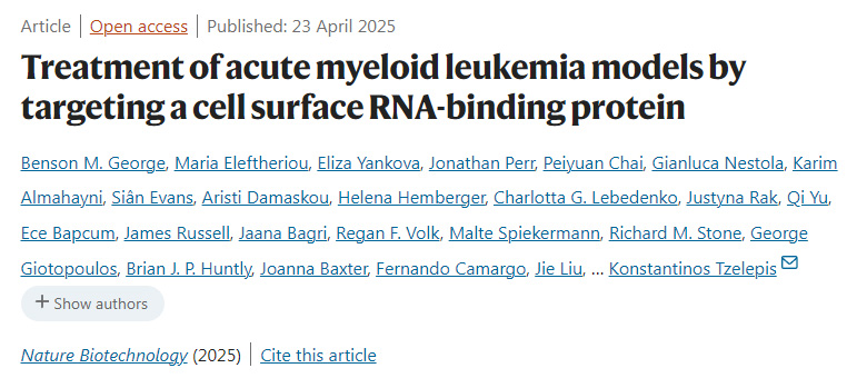 通過靶向細胞表面RNA結合蛋白治療急性髓系白血病模型