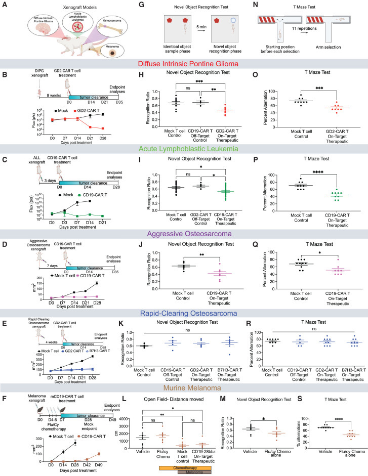  清除腫瘤的CAR T細胞治療后認知障礙