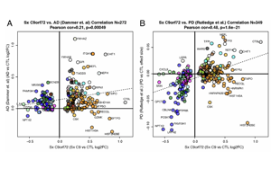 Nature Aging：中年人如何患上癡呆癥？可能與這些蛋白質有關