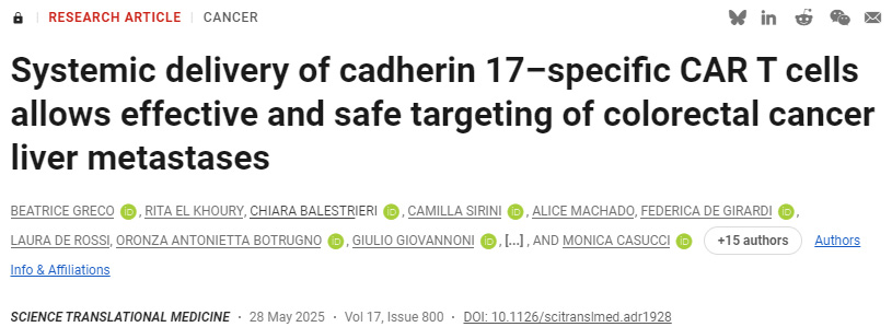 鈣黏蛋白17特異性CAR T細胞的全身遞送可實現結直腸癌肝轉移灶的安全有效靶向治療