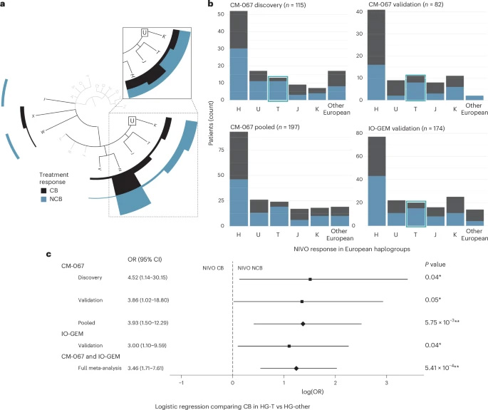  按歐洲單倍群分組的納武利尤單抗（NIVO）治療療效