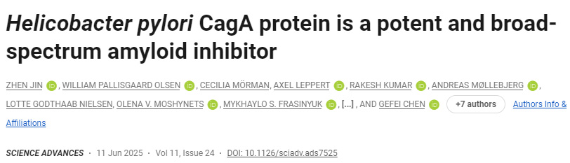 幽門螺桿菌CagA蛋白是一種強效廣譜淀粉樣蛋白抑制劑