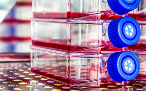 生物制藥與疫苗生產中的細胞培養全流程解決方案