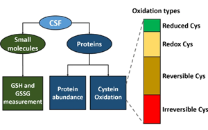 腦脊液中谷胱甘肽氧化作為肌萎縮側索硬化癥氧化應激的生物標志物研究
