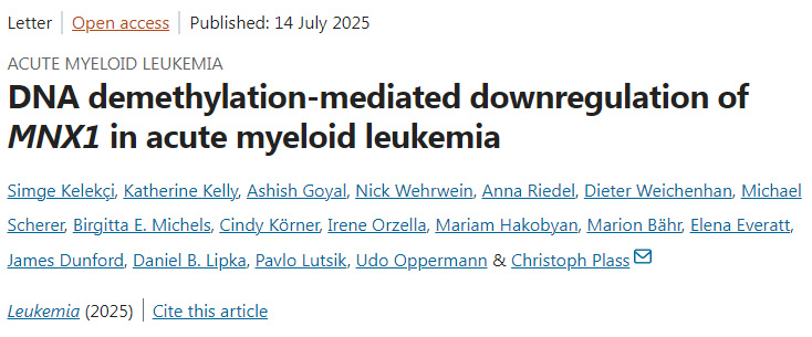 DNA去甲基化介導急性髓系白血病中MNX1基因表達下調