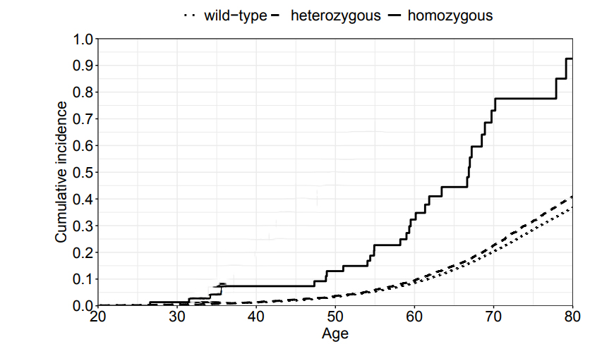 FANCM基因c.5101C>T位點純合突變攜帶者、雜合突變攜帶者及野生型(wt)個體的首次浸潤性癌癥累積發病率 FANCM基因c.5101C>T位點純合突變攜帶者、雜合突變攜帶者及野生型(wt)個體的首次浸潤性癌癥累積發病率