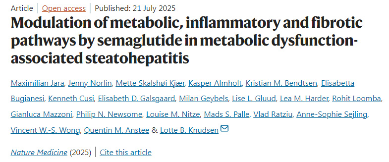 司美格魯肽在代謝功能障礙相關(guān)脂肪性肝炎中對(duì)代謝、炎癥和纖維化通路的調(diào)節(jié)作用 司美格魯肽在代謝功能障礙相關(guān)脂肪性肝炎中對(duì)代謝、炎癥和纖維化通路的調(diào)節(jié)作用