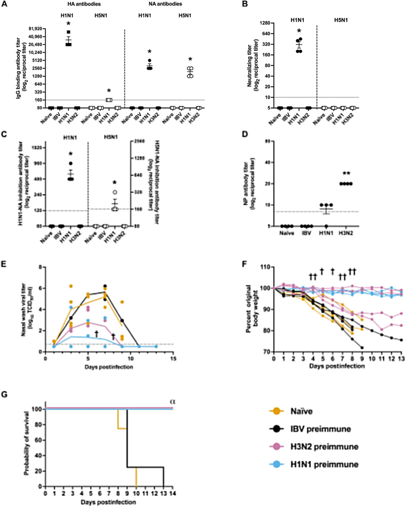 針對季節性H3N2病毒或2009年甲型H1N1流感病毒的預存免疫力,可有效預防雪貂因甲型水貂流感病毒(H5N1)感染引發的嚴重疾病 針對季節性H3N2病毒或2009年甲型H1N1流感病毒的預存免疫力,可有效預防雪貂因甲型水貂流感病毒(H5N1)感染引發的嚴重疾病
