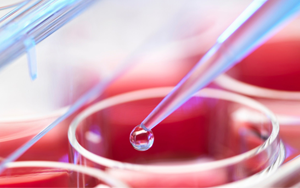 無血清細胞培養基原料大集合