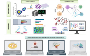 Cell：多年、多實驗室合作，科學家們成功模擬癌細胞