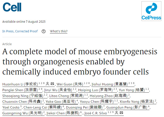 在化學誘導胚胎祖細胞支持下實現的小鼠胚胎發生至器官發生全過程模型 在化學誘導胚胎祖細胞支持下實現的小鼠胚胎發生至器官發生全過程模型