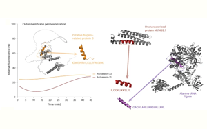 Nature子刊：人工智能在古代微生物中發現新抗生素