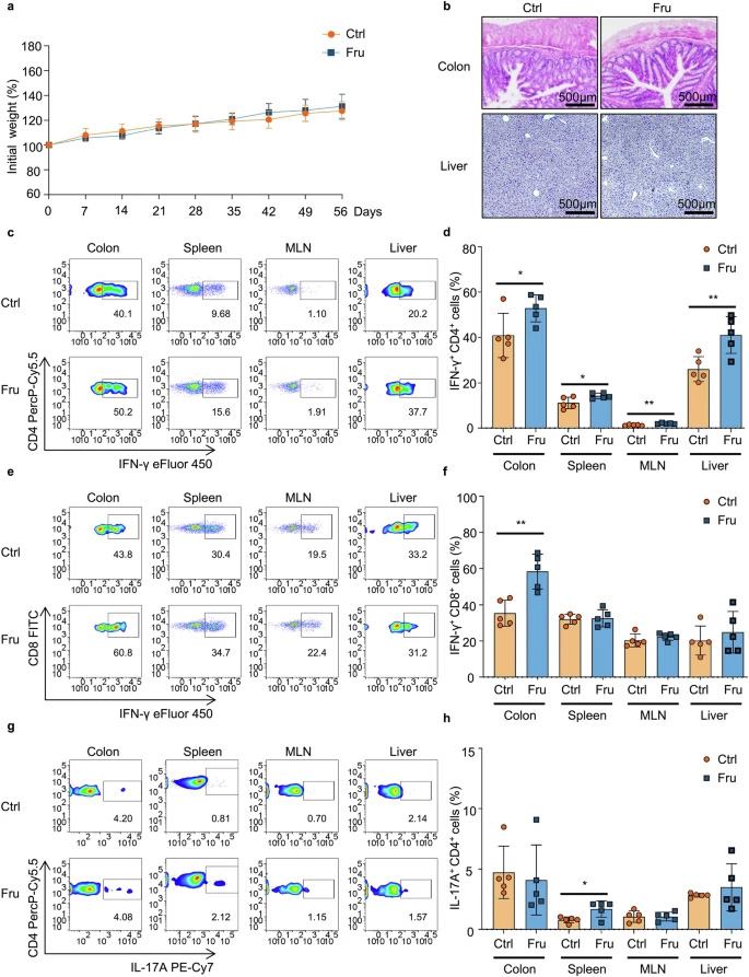 高果糖攝入會促進Th1和Th17細胞介導的免疫應答