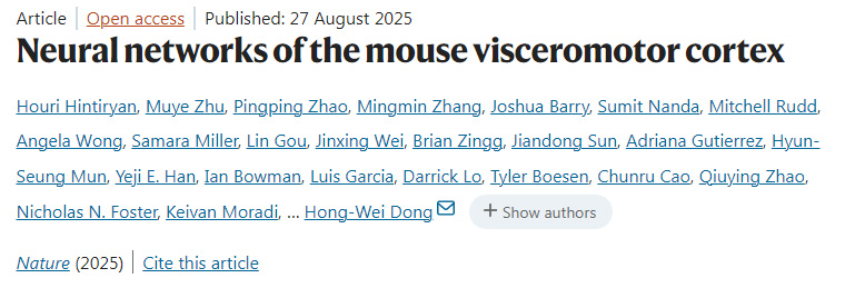 小鼠內臟運動皮層的神經網絡 小鼠內臟運動皮層的神經網絡