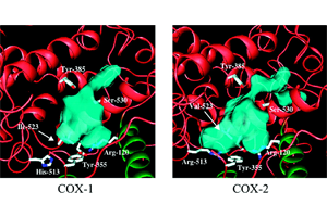 靶向COX-1-PGE2-EP2R軸：阿爾茨海默病神經炎癥調控的新策略與轉化前景