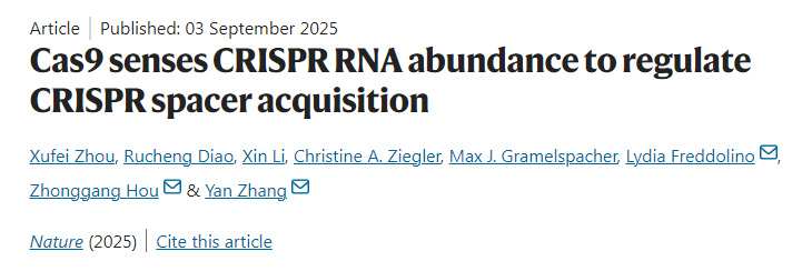 Cas9通過感知CRISPR RNA豐度來調控CRISPR間隔序列的獲取 Cas9通過感知CRISPR RNA豐度來調控CRISPR間隔序列的獲取
