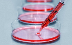 細(xì)胞培養(yǎng)基，撐起生物醫(yī)藥的半壁江山