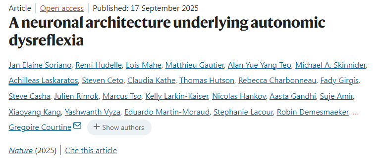 自主神經反射異常背后的神經元結構 自主神經反射異常背后的神經元結構