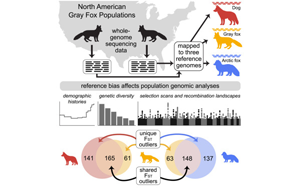 Cell：參考基因組的選擇會影響遺傳研究的結果