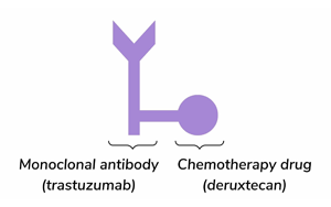 抗體藥物偶聯物Trastuzumab Deruxtecan在HER2低表達轉移性乳腺癌中的長期生存獲益：DESTINY-Breast04 III期試驗最終分析