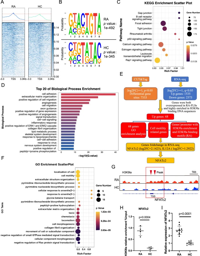 運用CUT&Tag與RNA-seq技術篩選H3K9乳酸化修飾在類風濕關節炎成纖維樣滑膜細胞中調控的靶基因 運用CUT&Tag與RNA-seq技術篩選H3K9乳酸化修飾在類風濕關節炎成纖維樣滑膜細胞中調控的靶基因