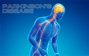 帕金森病多維度病因新視角：細胞色素P450酶系成為發病機制新關鍵