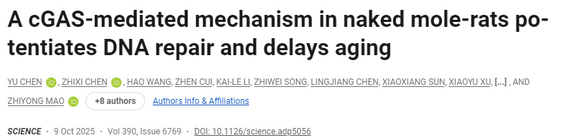 裸鼴鼠通過cGAS介導的機制增強DNA修復并延緩衰老 裸鼴鼠通過cGAS介導的機制增強DNA修復并延緩衰老