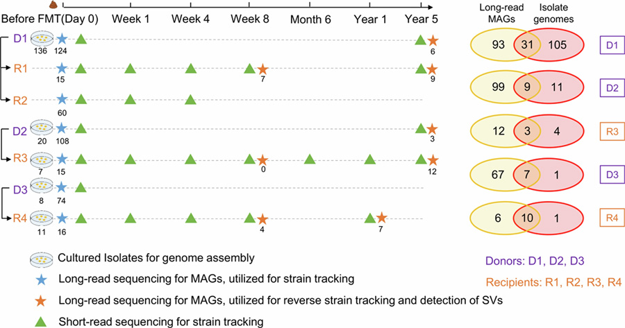 CDI患者樣本采集與糞菌移植研究設(shè)計(jì)闡述 CDI患者樣本采集與糞菌移植研究設(shè)計(jì)闡述