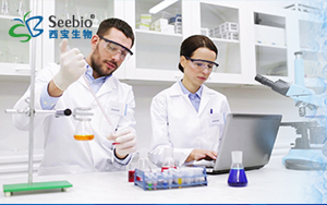 表面活性劑家族，種類齊全 常備現貨