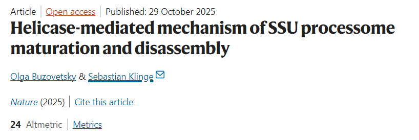 解旋酶介導的小亞基加工體成熟與解聚機制 解旋酶介導的小亞基加工體成熟與解聚機制