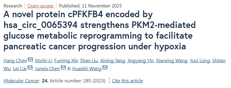由hsa_circ_0065394編碼的新型蛋白cPFKFB4通過增強PKM2介導的葡萄糖代謝重編程,促進胰腺癌在缺氧條件下的進展 由hsa_circ_0065394編碼的新型蛋白cPFKFB4通過增強PKM2介導的葡萄糖代謝重編程,促進胰腺癌在缺氧條件下的進展