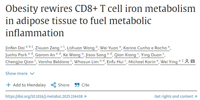 肥胖重塑脂肪組織中CD8+ T細胞的鐵代謝以加劇代謝性炎癥 肥胖重塑脂肪組織中CD8+ T細胞的鐵代謝以加劇代謝性炎癥
