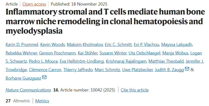肥胖重塑脂肪組織中CD8+ T細胞的鐵代謝以加劇代謝性炎癥 肥胖重塑脂肪組織中CD8+ T細胞的鐵代謝以加劇代謝性炎癥