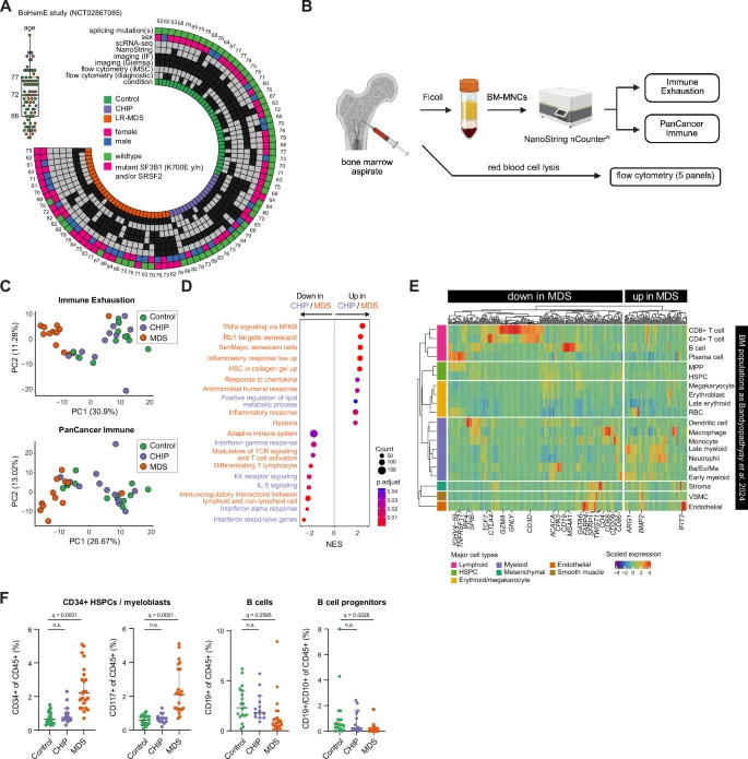 CHIP與MDS整體骨髓炎癥表達譜分析 CHIP與MDS整體骨髓炎癥表達譜分析