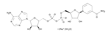 NADH（還原型輔酶I）