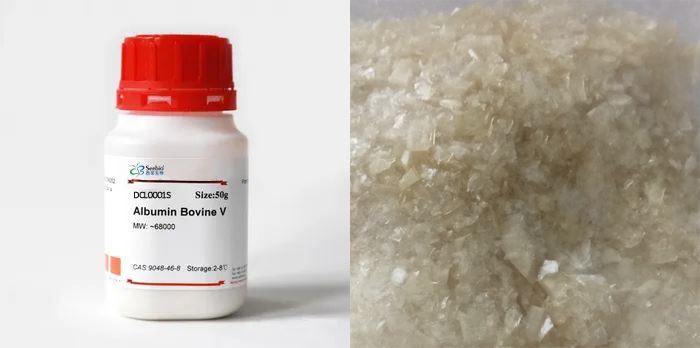牛血清白蛋白,BSA,第五組分 牛血清白蛋白,BSA,第五組分