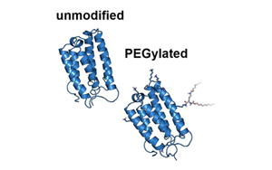 蛋白質交聯劑及在生物學中的應用