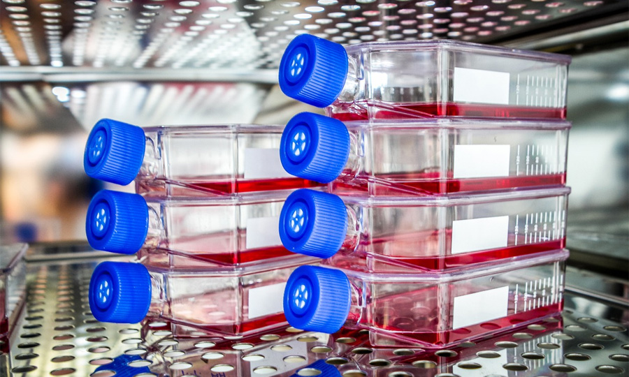 生物制藥中細胞培養