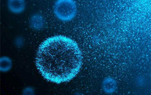 呼吸道合胞病毒（RSV）-免疫層析（膠體金及彩色乳膠）解決方案