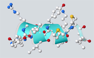 “繁花”盛開，細數多肽藥物的星辰大海