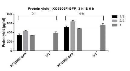 蛋白質(zhì)產(chǎn)量_XC5305F-GFP_3h & 6h