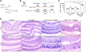 食品中廣泛使用的誘惑紅和落日黃，會誘導和加速結腸炎發展！
