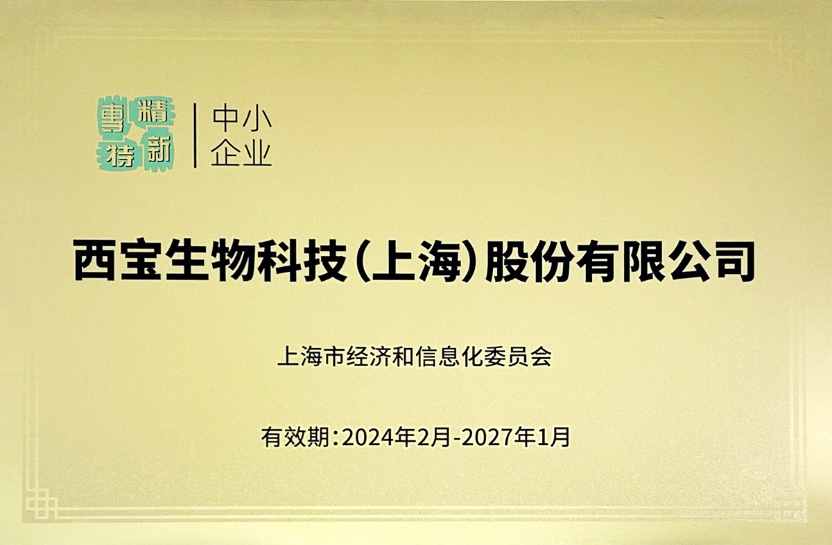上海市專精特新中小企業