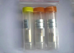 經濟型透析袋，RC膜，14 KD，扁平寬度77 mm