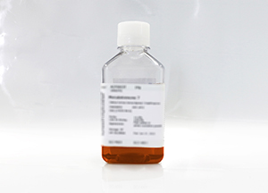 雜交瘤細胞無血清培養基