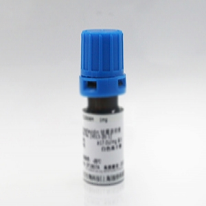 重組CRISPR-Cas13a蛋白