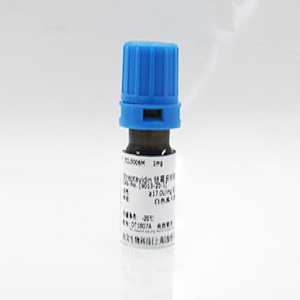 BsaI限制性內切酶